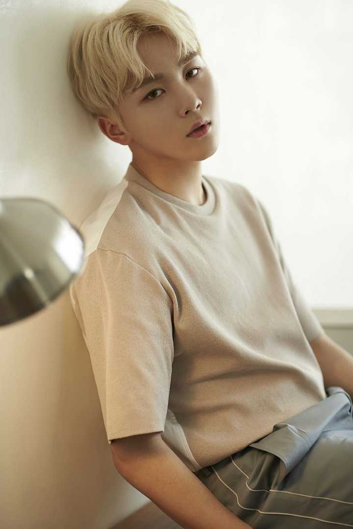 说说自己是怎么喜欢上seventeen 组合的吧?