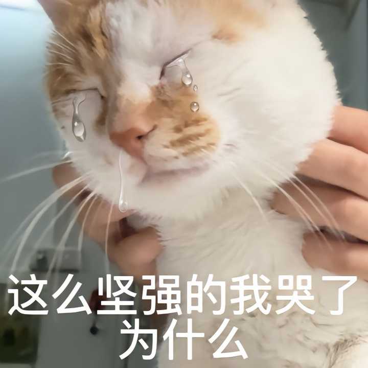 有哪些适合「打工人」的表情包? - 知乎