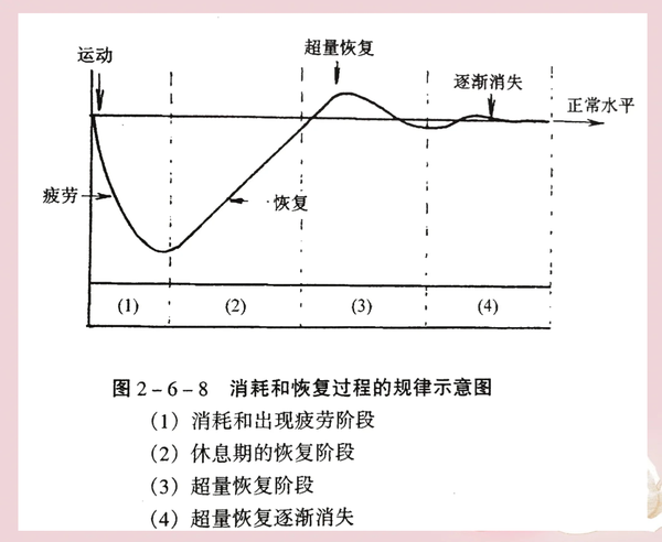 连续健身 1 个月，肌肉掉了 0.4kg，脂肪涨了 1.4kg，这是为什么?