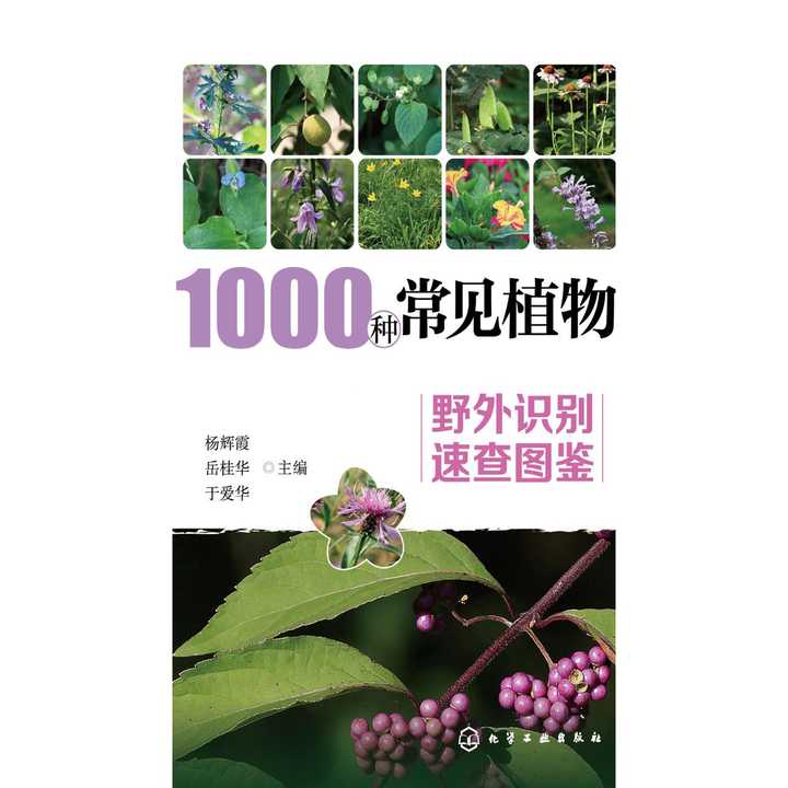 v2-b656b4d538958e6133394b3be16c778a_720w.jpg?source=54b3c3a5
