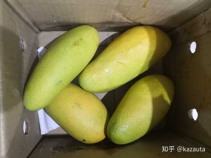 你吃过自然熟的金煌芒吗?