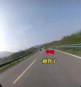 动图封面