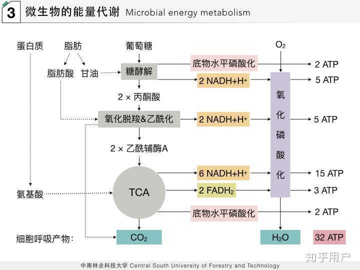 大学老师做的ppt 为什么普遍难看毫无美感 知乎