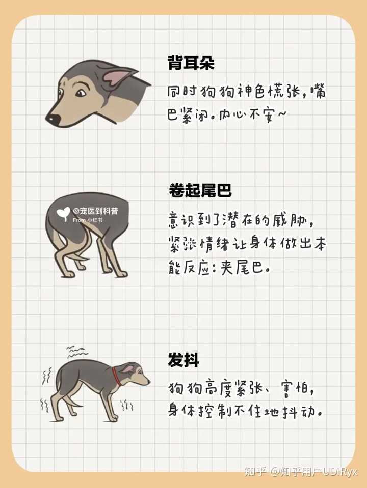 狗害怕时会有哪些表现? - 知乎