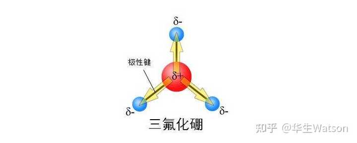 极性分子中一定有极性键吗? - 知乎