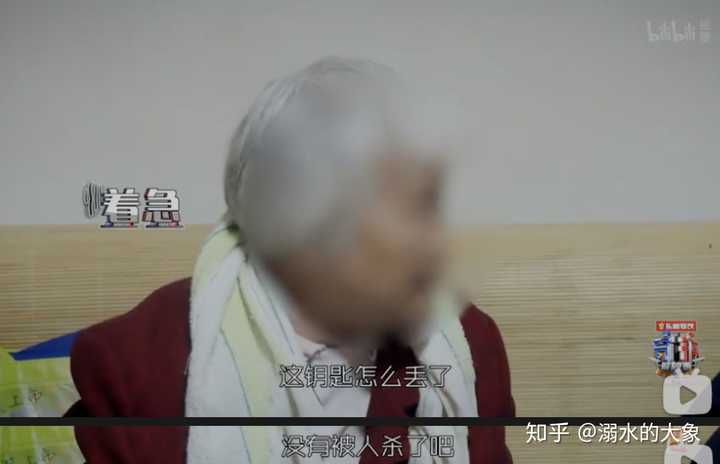 如何评价纪录片 守护解放西 溺水的大象的回答 知乎
