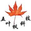 五叶枫科技