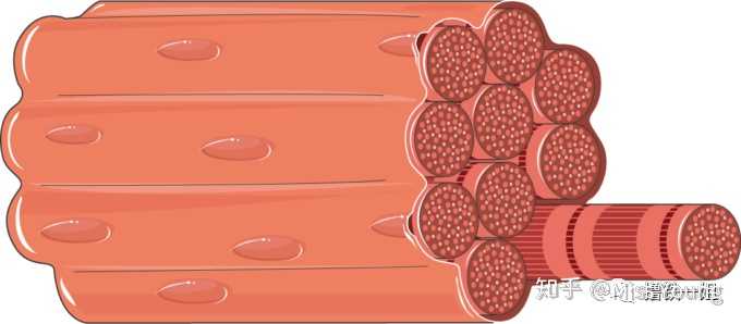 有氧运动和无氧运动有哪些区别 知乎