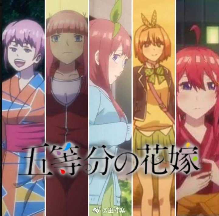 如何评价 五等分的花嫁 这部作品 知乎 如何评价 五等分的花嫁 这部作品 知乎