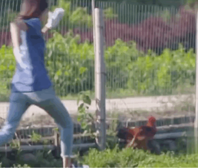 站区时,平时是没有欢呼的,因为一般黄推很少,但那天聚聚们不知怎么了