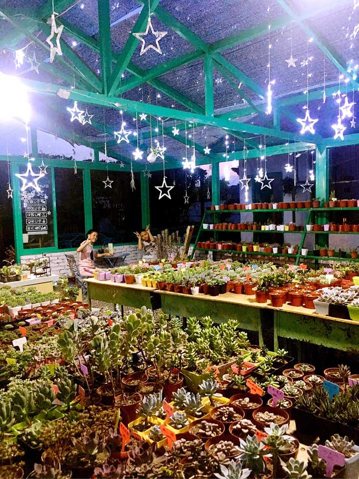 怎样在院子里建一个玻璃花房 知乎