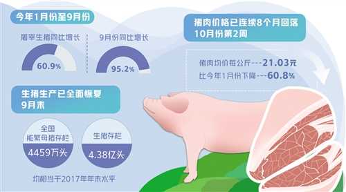 我要看现在的生猪价格_生猪价格看现在要涨多少_生猪价格看现在要涨还是跌