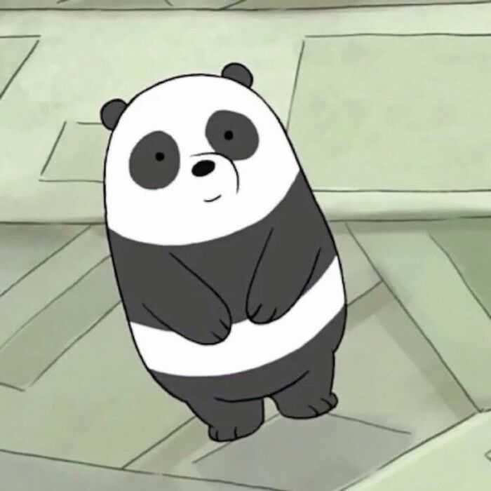 有哪些咱们裸熊的头像？