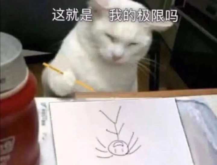 为什么这么讨厌这个猫的表情包? - 知乎