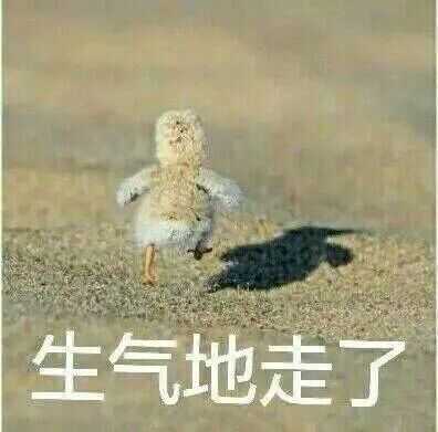 药物化学考研是选择名校 还是专业排名靠前的