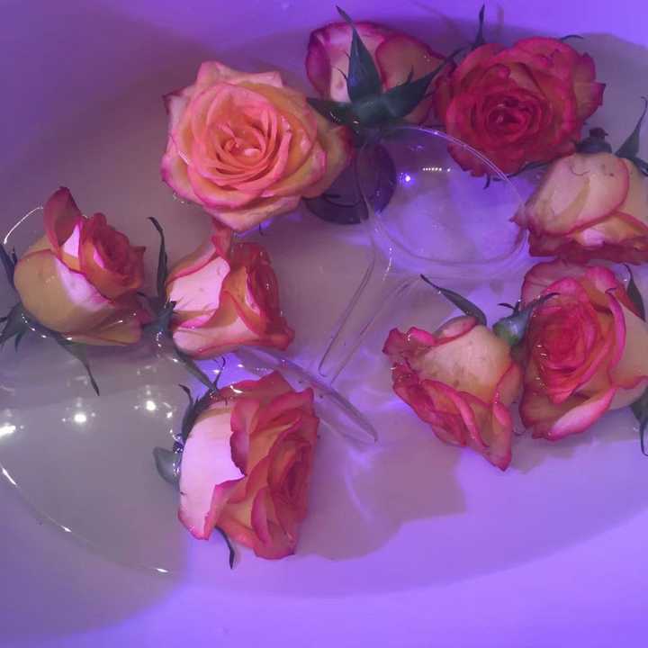单字简单网名有哪些