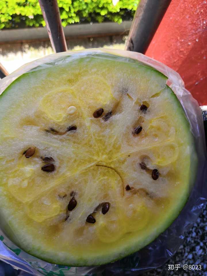 在红心西瓜中中一个黄心西瓜算吗