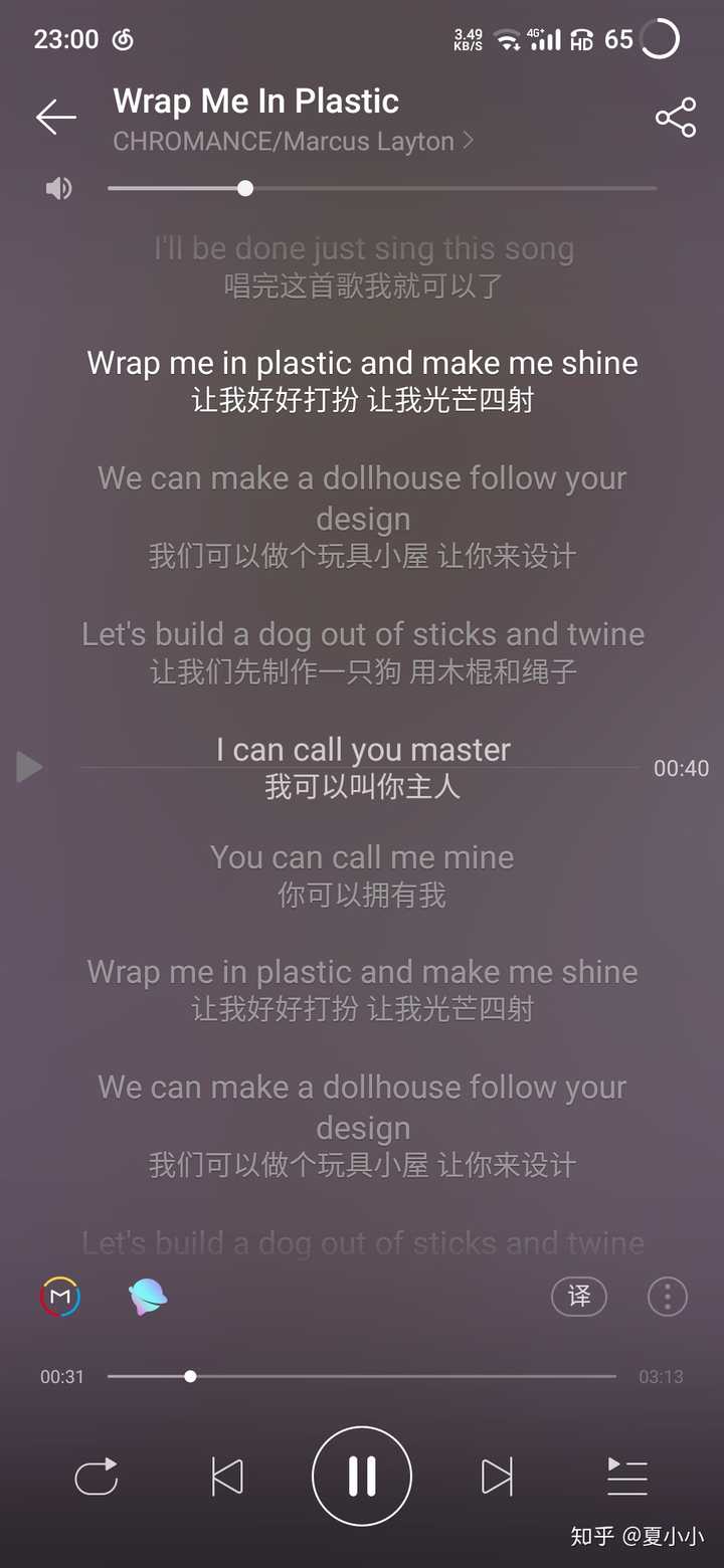 wrapmeinplastic歌什么意思啊啊啊为什么就小黄歌了