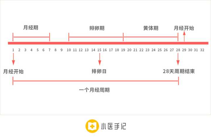 如何提高怀孕几率 知乎