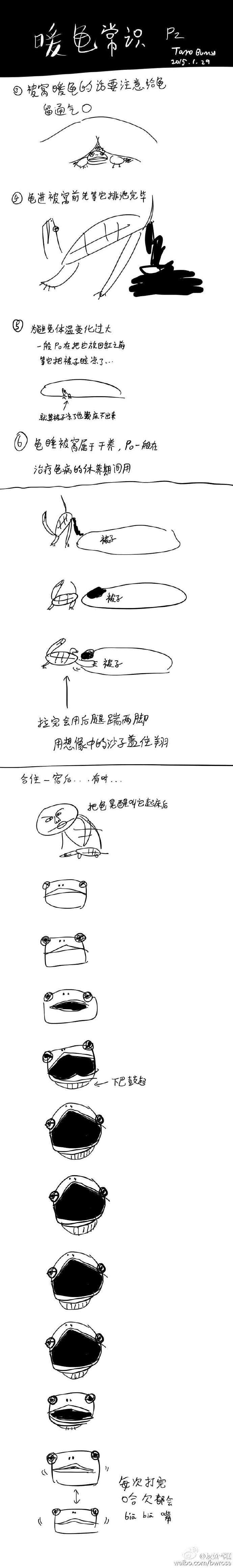 巴西龟智商高吗？ - 知乎