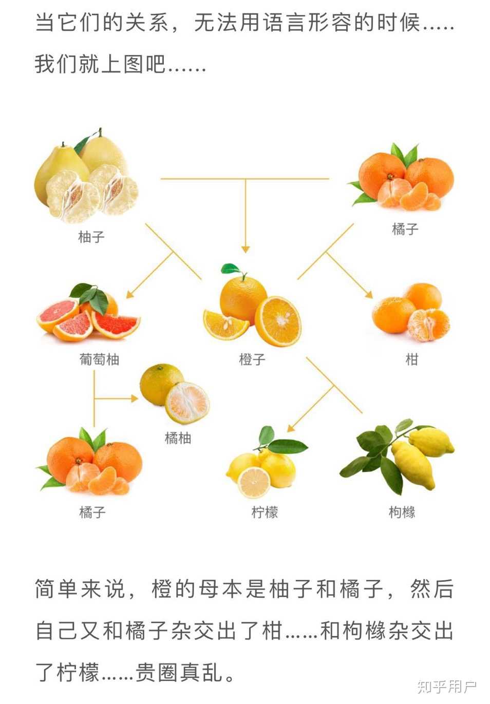 冷门知识