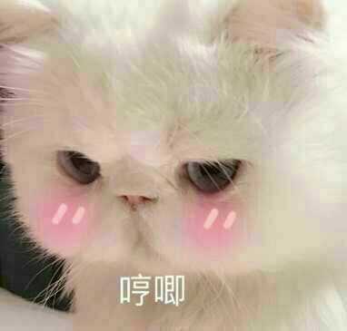 练完肱二头肌后左边肌肉变硬,还感觉不太舒服