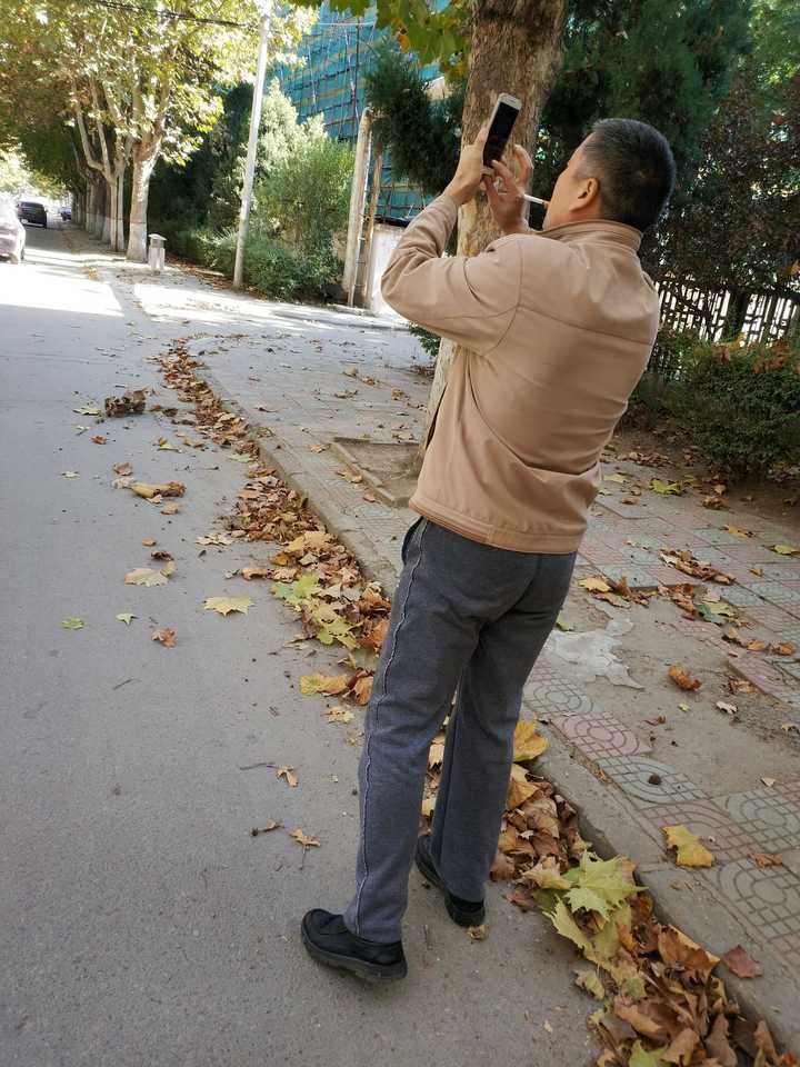 就一张爸爸的背影吧!