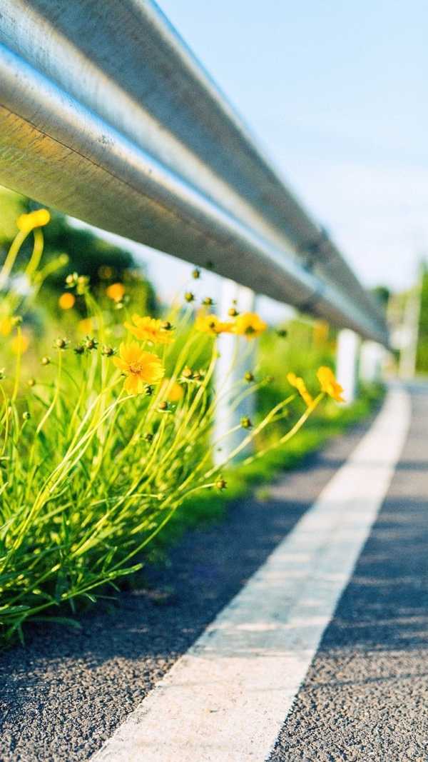 白河寒秋 的想法: 有些人心如花木,皆向阳而生啊 - 知乎