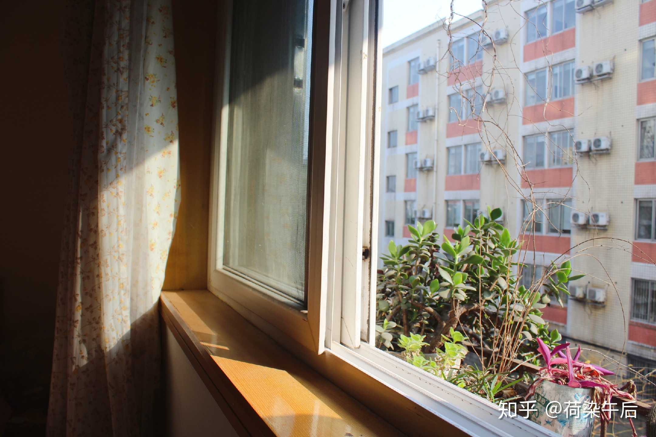 周末我是看见阳光才起床的!