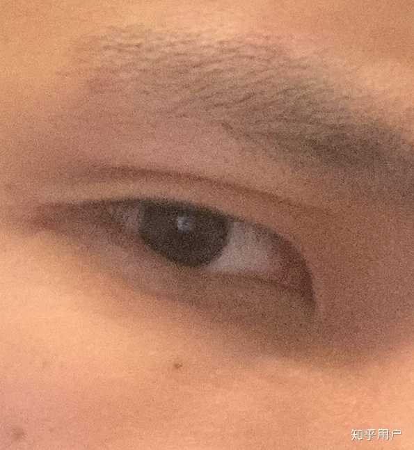 为什么眉毛和眼睛距离近的人的好看 知乎 为什么眉毛和眼睛距离近的人的好看 知乎