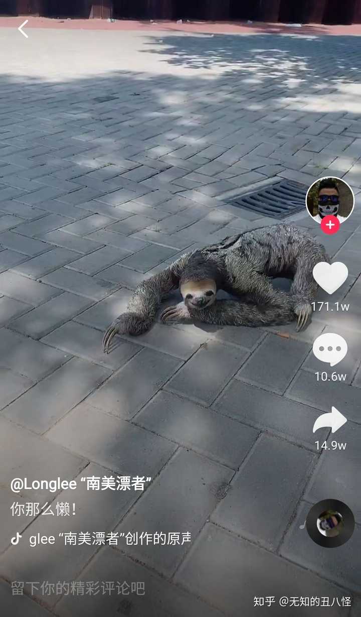 如何评价qq空间这只刷爆的恐怖树懒?