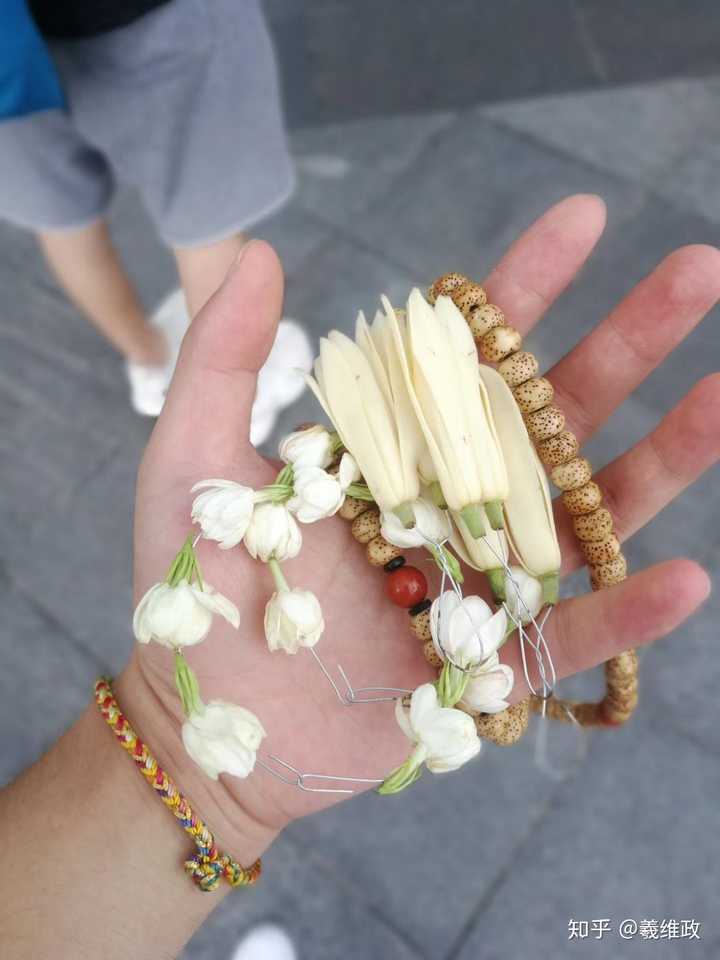 和那个他去苏博时买的白兰花和茉莉花