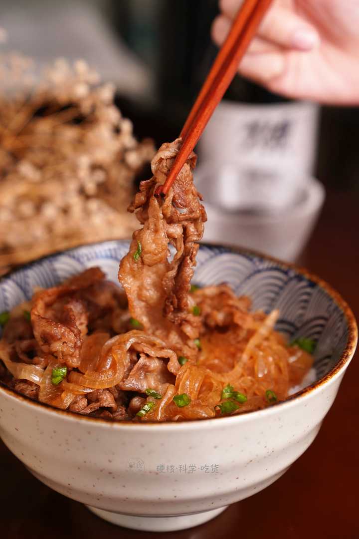 怎样做出好吃的牛肉盖饭 知乎 怎样做出好吃的牛肉盖饭 知乎