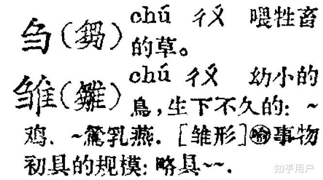 刍狗这个「刍」字一直都读 chu 吗?以前有过 zou 这个读音吗? - 知乎