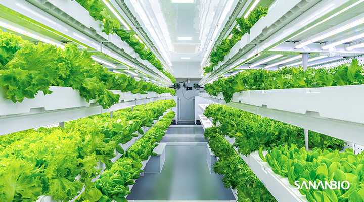 我想开个小农场 一个有别于现有农场的农场 大家给点建议 中科三安植物工厂的回答 知乎 我想开个小农场 一个有别于现有农场的农场 大家给点建议 中科三安植物工厂的回答 知乎