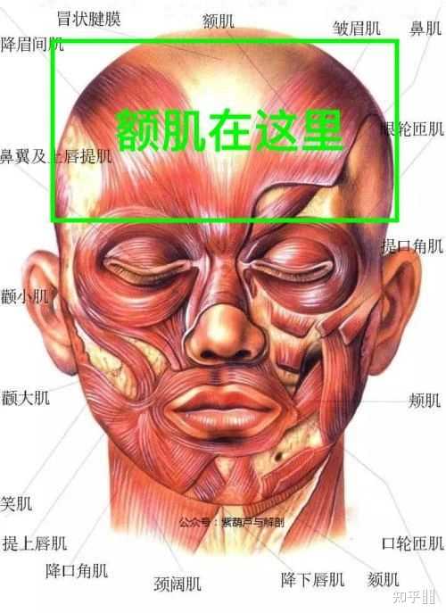 如何在半年内提高颜值? - 知乎