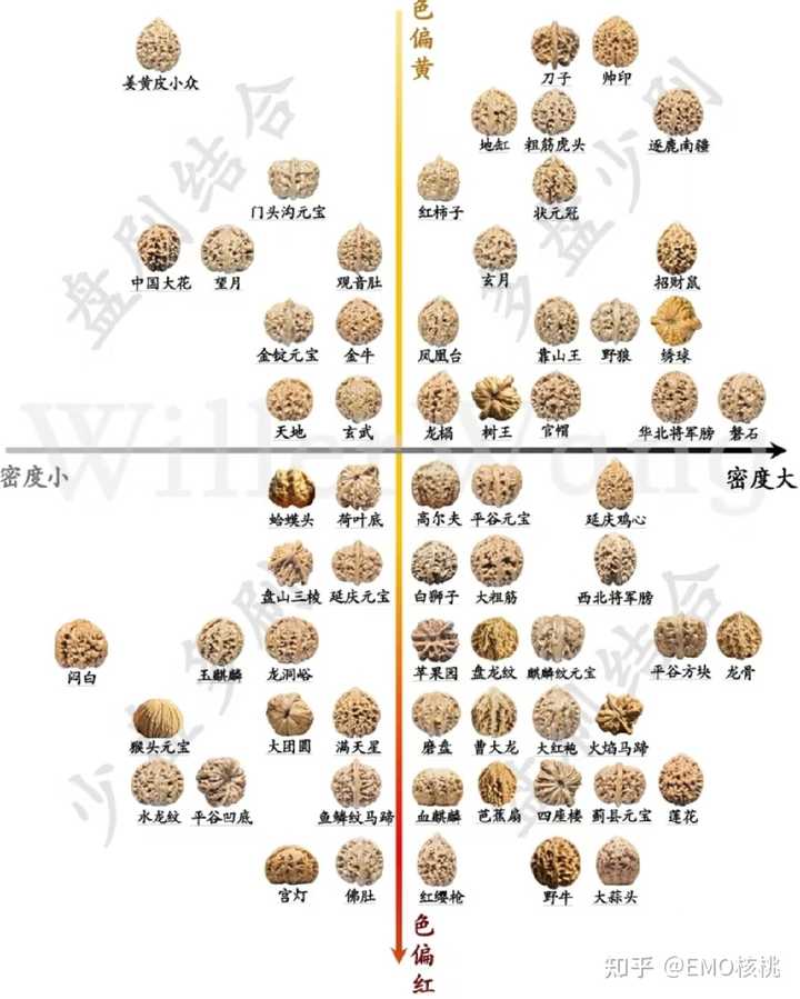 文玩核桃有哪些种类呢？ - EMO核桃的回答- 知乎