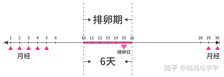 排卵期出血怎么破 知乎