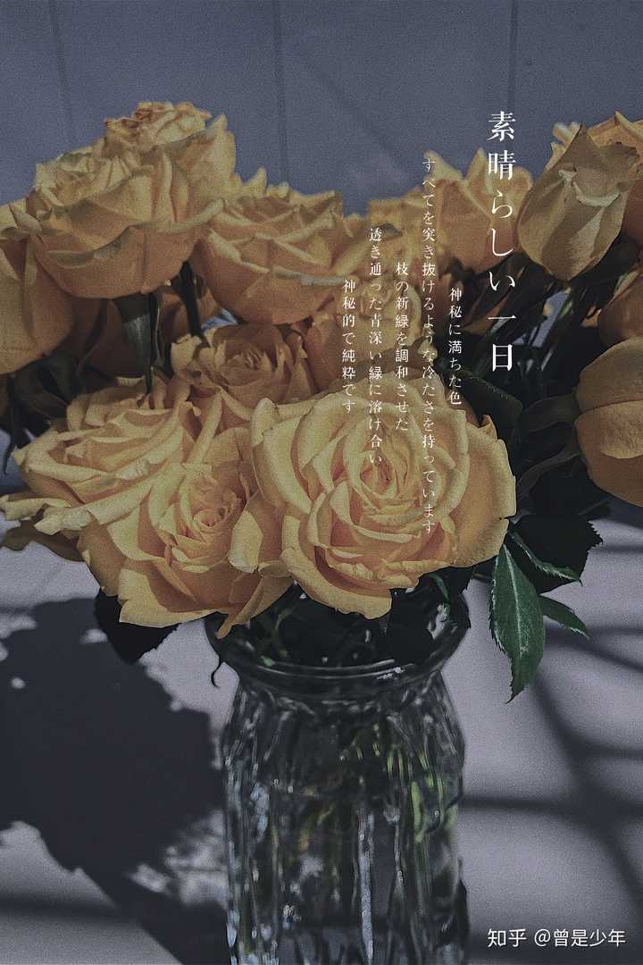 水养玫瑰或其他的花 怎么处理才能让鲜花坚持更久 知乎