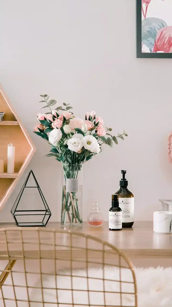 有哪些ins风的照片？