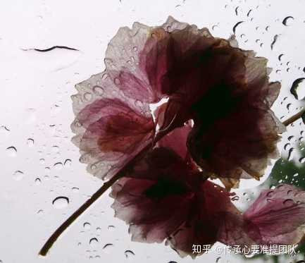 六字大明咒 准提咒 有师兄说是招鬼神咒 请教师兄们 这些咒正法吗 姜雨辰的回答 知乎 六字大明咒 准提咒 有师兄说是招鬼神咒 请教师兄们 这些咒正法吗 姜雨辰的回答 知乎