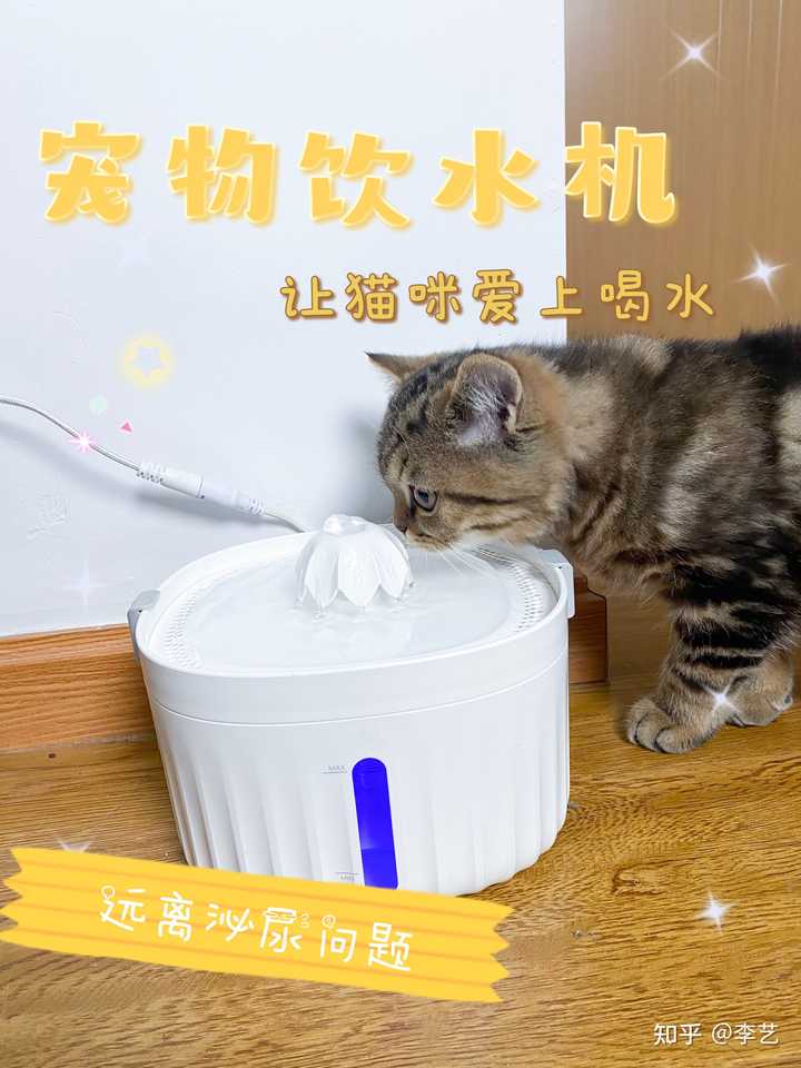 猫咪饮水机 哪些品牌值得入手 知乎