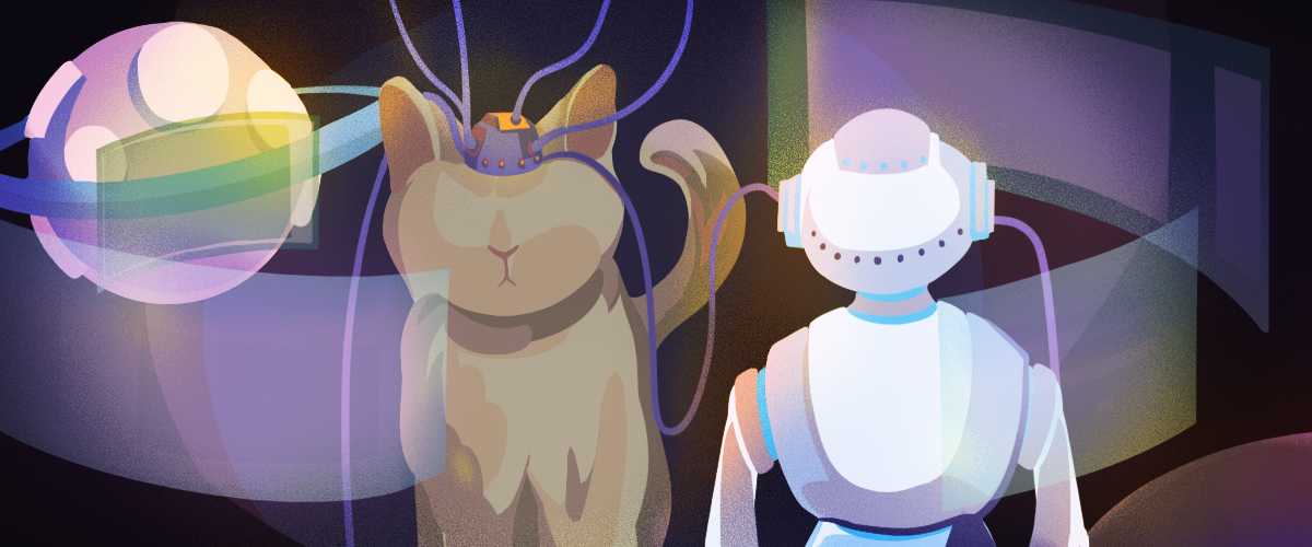 猫不存在银河未来和猫的科幻故事