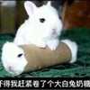 迷雾已散