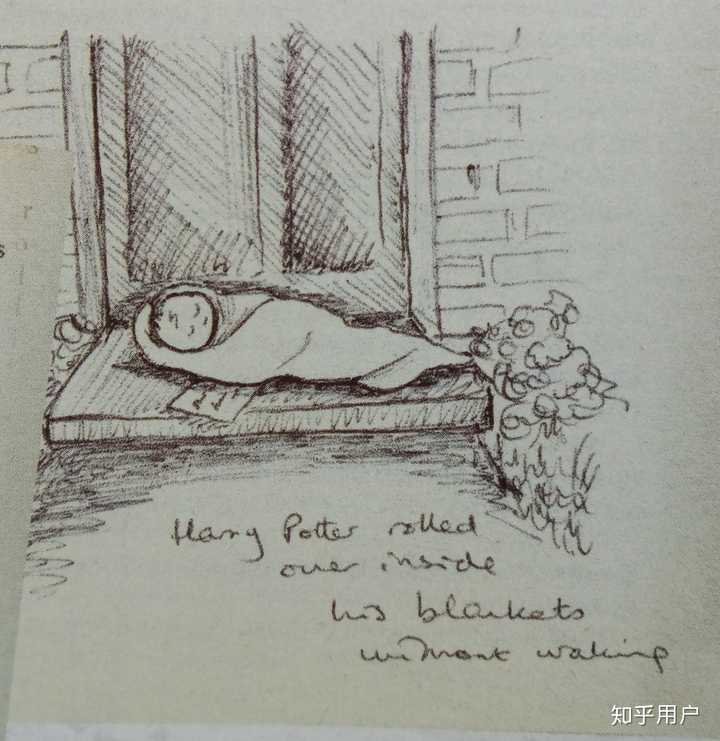 哈利波特里的角色真正的外貌应该是什么样子 ? - 知乎