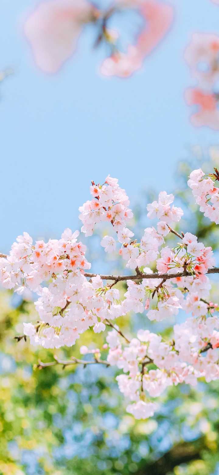 有哪些超级好看的壁纸？