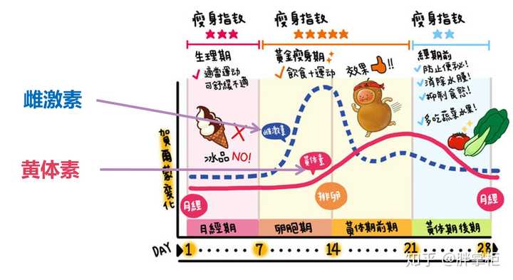 为什么说在女性生理期是减肥福利期 知乎