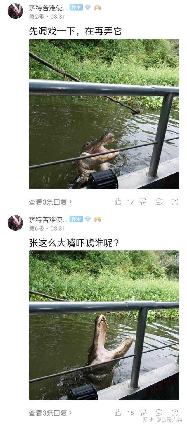 你在百度贴吧中见过最震惊三观的贴吧是哪一个 知乎