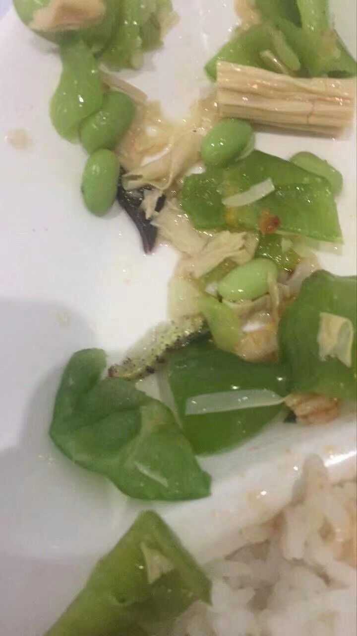 如何看待上海交通大学第二餐饮大楼接连吃出蛆和创可贴?