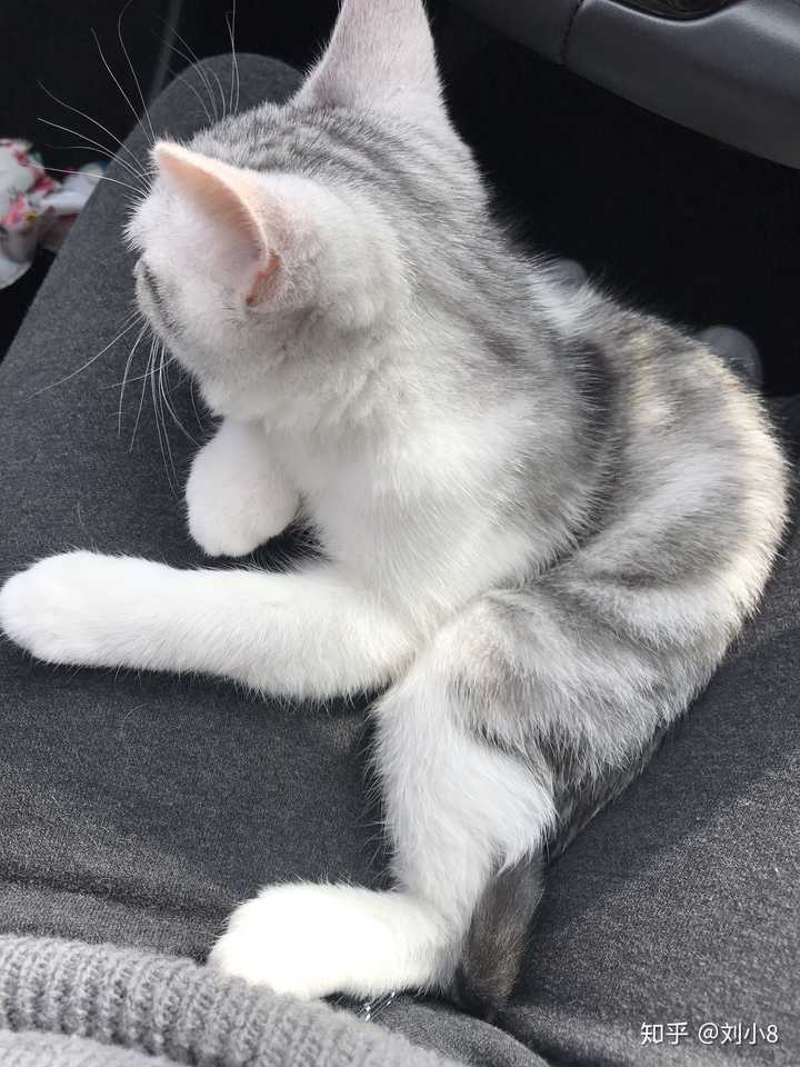 第二天吃了个早茶,大概十一点,开车带墩墩回蓝鲸啦.